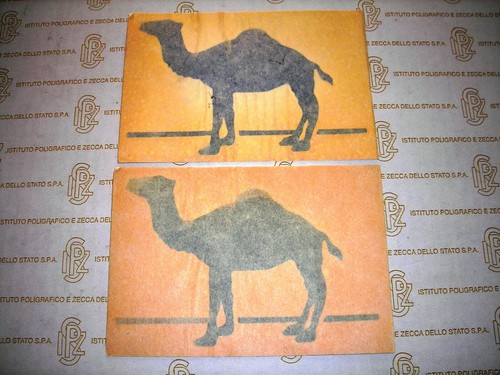 Camel adesivi stickers - 2,
