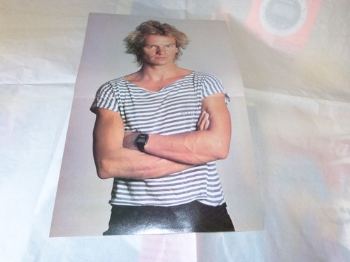 Sting poster 2p - poster,