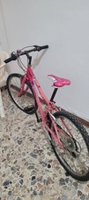 bici montain bike 24