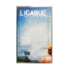 MC (1) LIGABUE SU E GIU' DAL