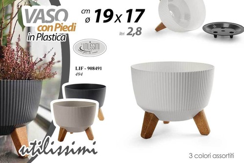 Vaso con piedi piante grasse - piedi,