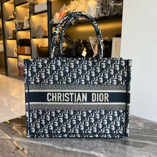 Christian dior book tote - dior,