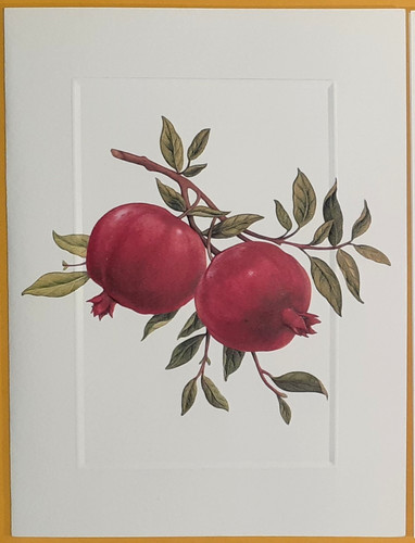 Carte melograno william - carte,