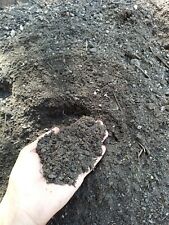 25L TERRA PRETA terriccio