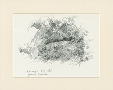 JACK RUSSELL TERRIER SEARCHES