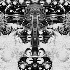 Almax Und Forte - Nois D'avui