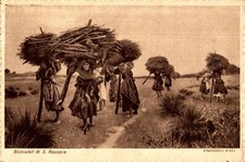 Pisa San Rossore Boscaioli Mestieri F. Piccolo  spedita 