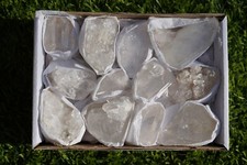 DRUSA QUARZO IALINO minerale