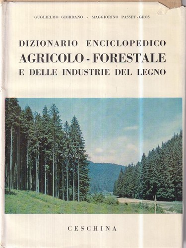 Dizionario enciclopedico - dizionario,