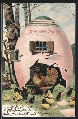 Gallina pulcini pasquali - e,