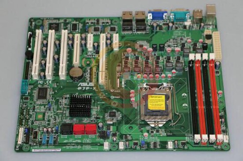 Una scheda madre server - scheda, asus