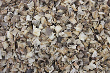 1000Erbe Tubero di Topinambur Topinambur Tubero Tagliato Tè 200 g