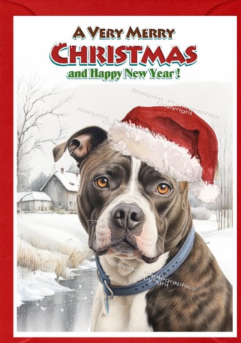 Biglietto natale - biglietto, di