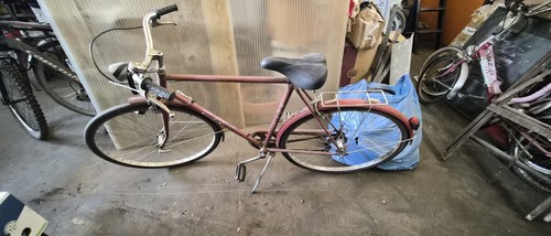 Bici vintage passeggio - bici, uomo