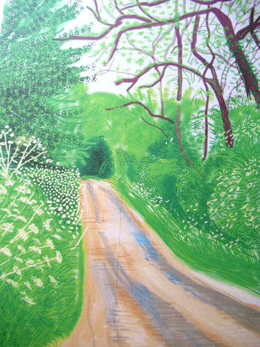Litografia david hockney - litografia,