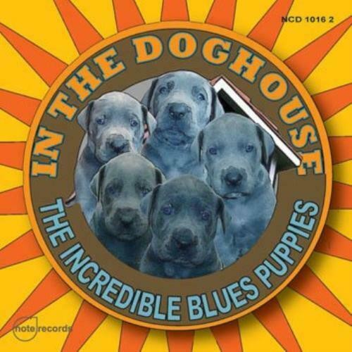 The doghouse cd - in,