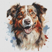 Pastore australiano cucciolo