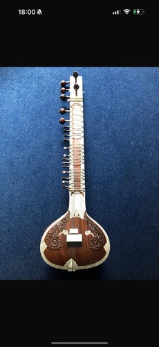 Indische sitar instrument - indische,