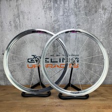 Set ruote Campagnolo Shamal