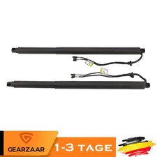 Molla a gas portellone mozzo