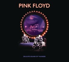Delicate Sound of Thunder 2 cd