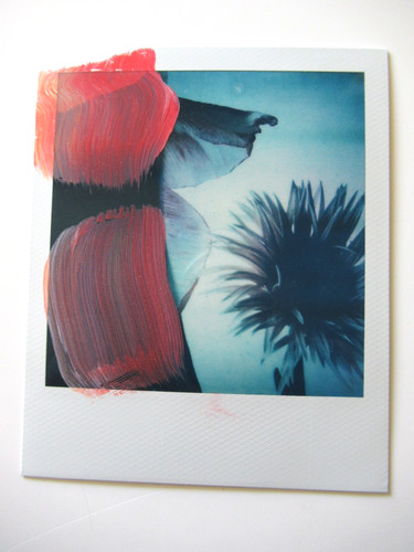 Araki polaroid originale - polaroid,