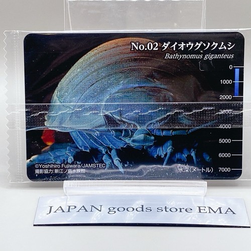 Carta wafer gigante isopod - carta,