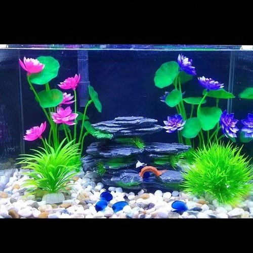 Pianta per acquario - , di