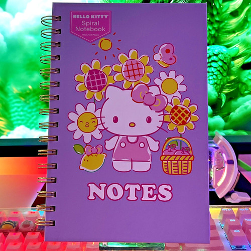 2024 sanrio hello kitty - sanrio,