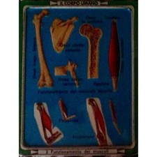 GADGET CORRIERE DEI PICCOLI IL