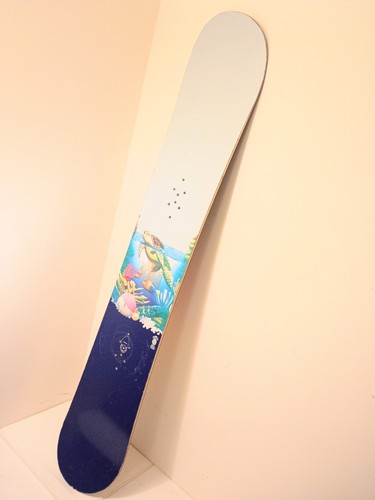 Burton custom 159 turtle - 🏂,