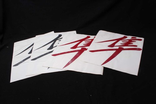 Emblema adesivo decorativo con