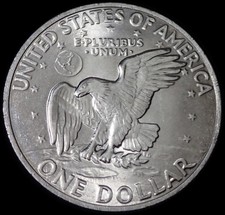 Moneta da un dollaro USA