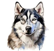 2 adesivi auto per cani