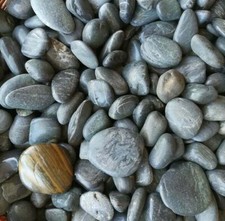 Pietre di fiume nere per acquario o terrario