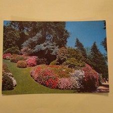 VILLA CARLOTTA  - LAGO DI COMO  CARTOLINA A COLORI SCRITTA - SENZA FRANCOBOLLO