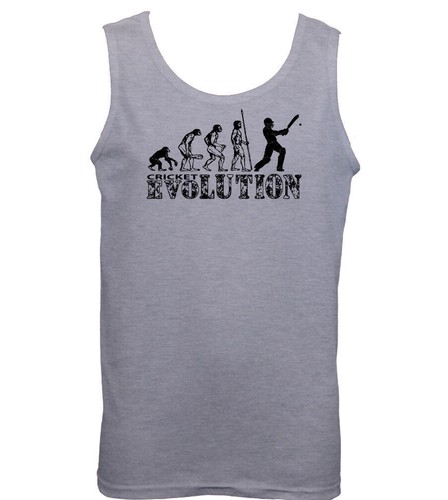 Cricket evolution divertente - cricket,