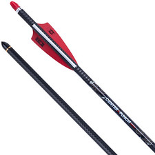 Frecce in carbonio Tenpoint