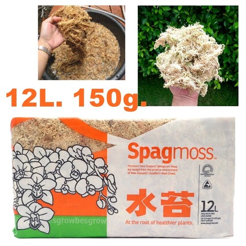Spagmoss sphagnum moss 12l - sphagnum,
