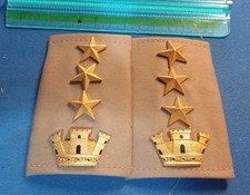 VECCHI GRADI TUBOLARI DIVISA UNIFORME COLONNELLO ESERCITO POSTWW2