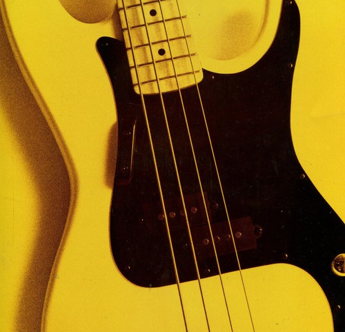 Libri chitarra basso elettrico - libri,