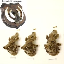 3 Pezzi Cinghiale Testa