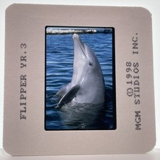 Flipper diapositiva 35mm anni