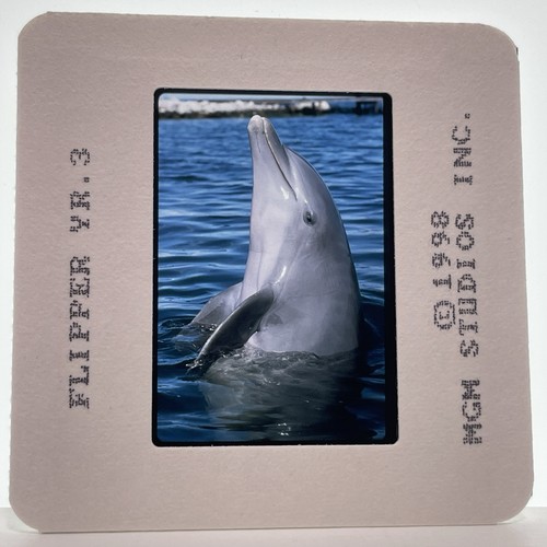 Flipper diapositiva 35mm anni