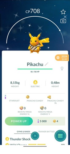 Pokemon shiny camicia - pokemon, ✨shiny✨