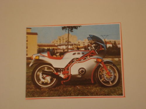 Ritaglio giornale 1981 moto - ritaglio, di