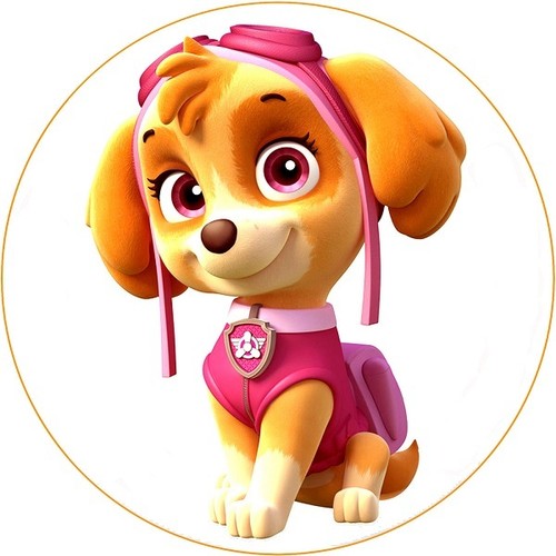 Cialda paw patrol decorazione - cialda,