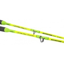 CANNA TRAINA TUBERTINI