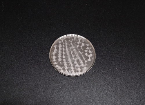 Replacement original part case - part,