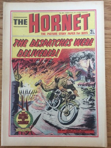 The hornet 391 71 - the, captain